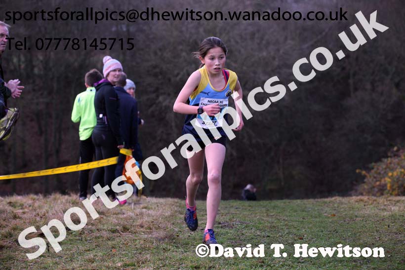 Girls under-13s North Eastern Cross Country, Aykley Heads, Durham. Photo: David T. Hewitson/Sports for All Pics